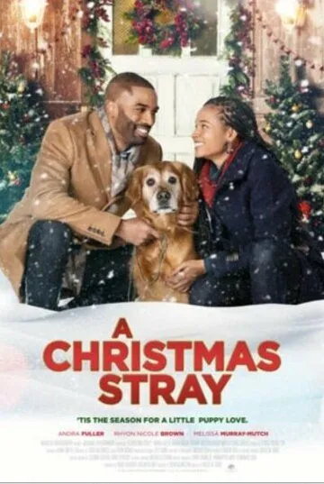 Постер: Рождественская дворняжка / A Christmas Stray (2021)