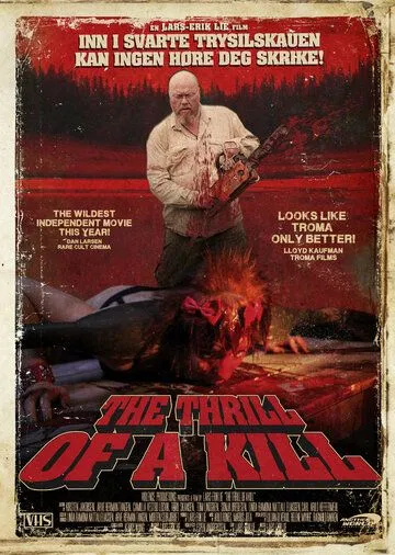 Постер: Боязнь убийства / The Thrill of a Kill (2011)