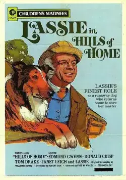 Постер: Родные Холмы / Hills of Home (1948)