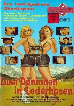 Постер: Две датчанки в кожаных штанах / Love 'n' Leather Pants (1979)
