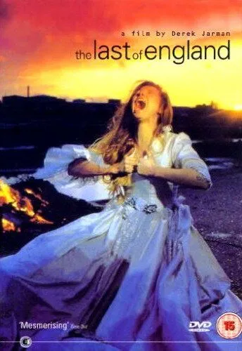 Постер: На Англию прощальный взгляд / The Last of England (1987)