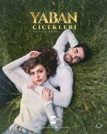 Постер: Дикие цветы / Yaban Çiçekleri (2024)