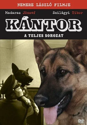 Постер: Кантор - собака-детектив / Kántor (1976)
