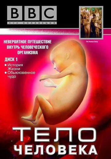 Постер: BBC: Тело человека / The Human Body (1998)