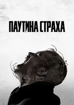 Постер: Паутина страха / Vermines (2023)