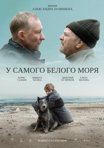 Постер: У самого Белого моря (2022)