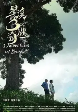 Постер: Три приключения Брук / Three Adventures of Brooke (2018)