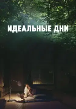 Постер: Идеальные дни / Perfect Days (2023)