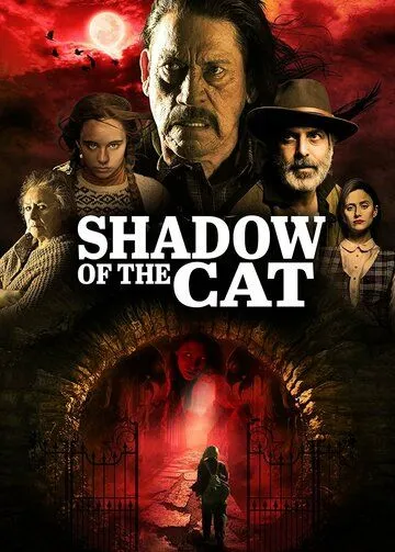 Постер: Тень кота / La Sombra Del Gato (2021)
