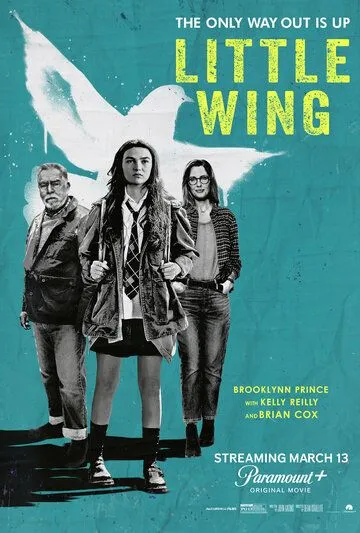 Постер: Маленькое крылышко / Little Wing (2024)