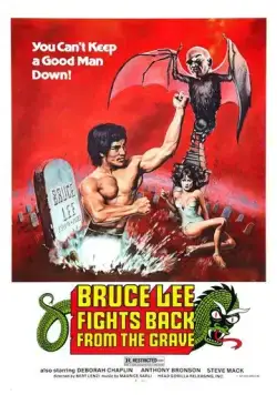Постер: Брюс Ли возвращается / America bangmungaeg (1976)