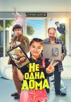 Постер: Не одна дома (2023)