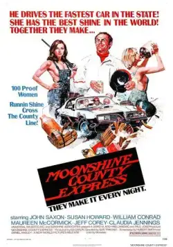 Постер: Экспресс в Лунном округе / Moonshine County Express (1977)