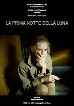 Постер: Светлая сторона Луны / La prima notte della luna (2010)