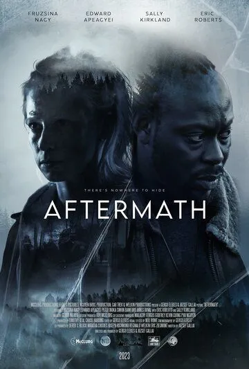 Постер: Последствия / Aftermath (2024)
