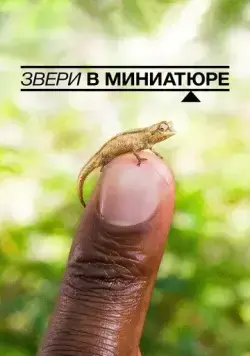 Постер: Звери в миниатюре / Super Small Animals (2017)