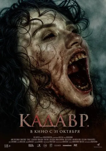 Постер: Кадавр / Cenaze (2023)