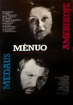 Постер: Медовый месяц в Америке (1981)