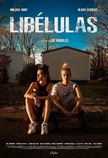 Постер: Стрекозы / Libélulas (2022)
