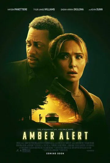 Постер: Эмбер Алерт (2024)
