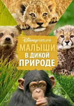 Постер: Малыши в дикой природе / Growing Up Wild (2015)