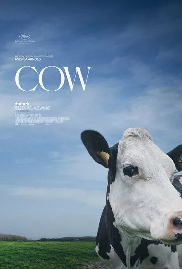 Постер: Корова / Cow (2021)
