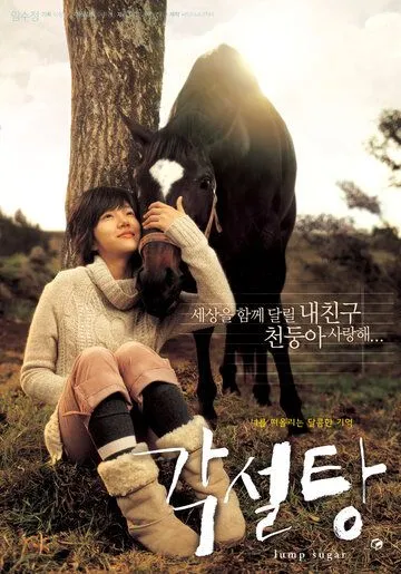 Постер: Кусочки сахара / Gakseoltang (2006)