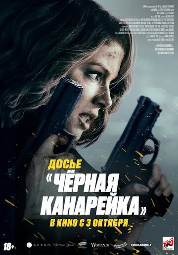 Постер: Досье «Чёрная канарейка» / Canary Black (2024)