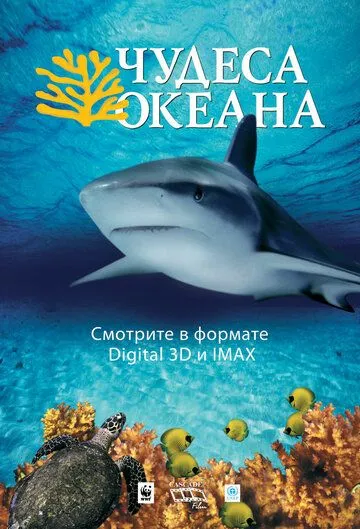 Постер: Чудеса океана 3D / Ocean Wonderland (2003)
