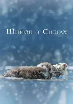 Постер: Шпион в снегах (2018)