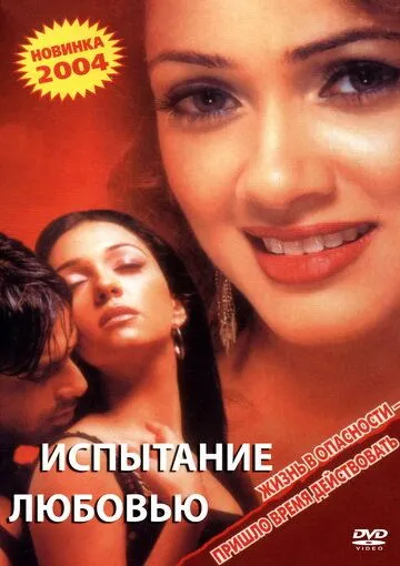 Постер: Испытание любовью (2003)