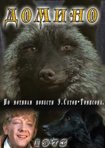 Постер: Домино (1973)