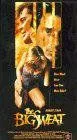 Постер: Большая заваруха / The Big Sweat (1991)