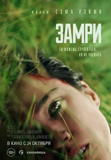 Постер: Замри (2024)