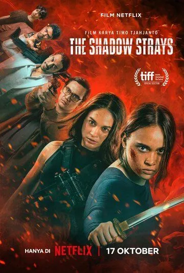 Постер: Блуждающая тень / The Shadow Strays (2024)