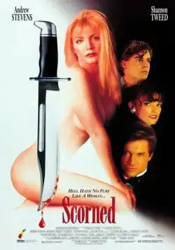 Постер: Падшая женщина / Scorned (1993)
