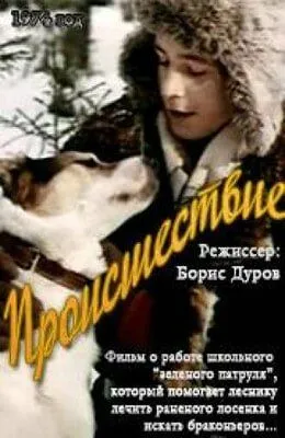 Постер: Происшествие (1974)