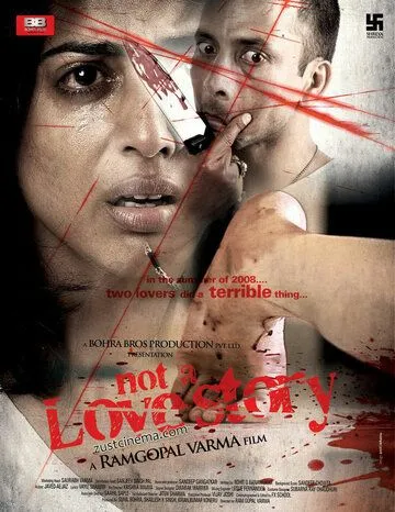 Постер: Совсем не любовная история / Not a Love Story (2011)