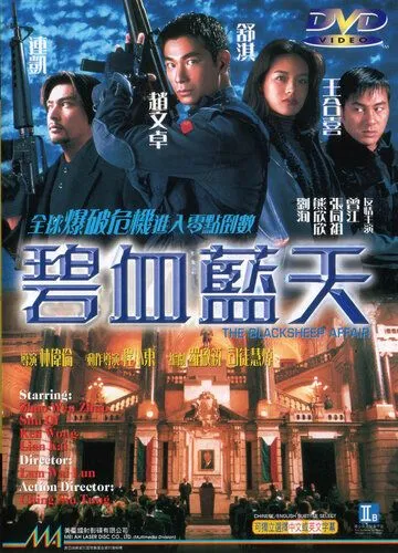 Постер: Другая степень риска (1998)