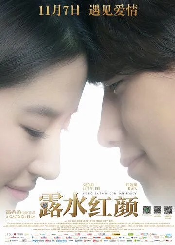 Постер: Любовь или деньги / Lu shui hong yan (2014)