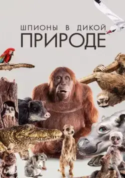 Постер: Шпионы в дикой природе / Earth Spy In The Wild (2017)