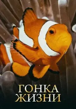 Постер: Гонка жизни / Race of Life (2015)