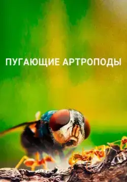 Постер: Пугающие артроподы / Creepy Crawlies (2021)