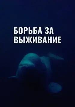 Постер: Борьба за выживание (2017)