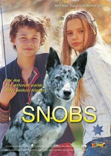 Постер: Собака по имени Снобз / Snobs (2003)