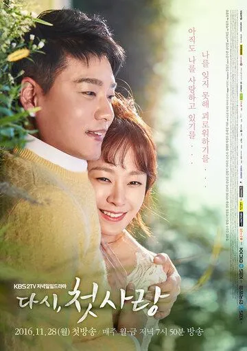 Постер: Снова первая любовь / Dasi, cheotsarang (2016)