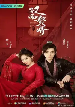 Постер: Боевая жена / Shuang mian zhui xu (2022)
