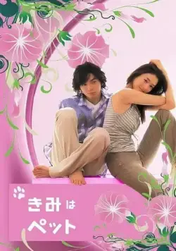 Постер: Мой любимец / Kimi wa petto (2003)