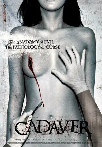 Постер: Труп (2006)