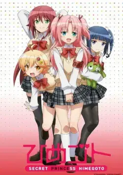 Постер: Тайна принцессы / Himegoto (2014)